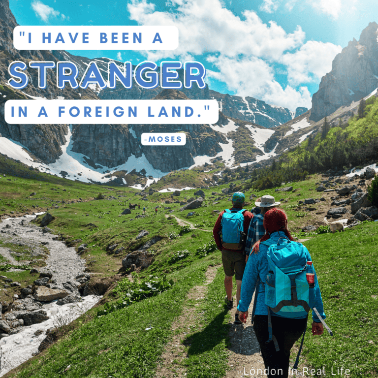 101 Top Motivational Life Abroad Quotes to Fuel Your Adventure