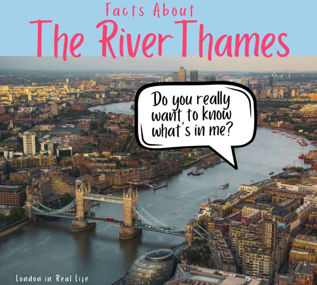 things to know about the River Thames: Image of the river winding through london with a speech bubble emerging from the water that reads : "Do you really want to know what's in me?"