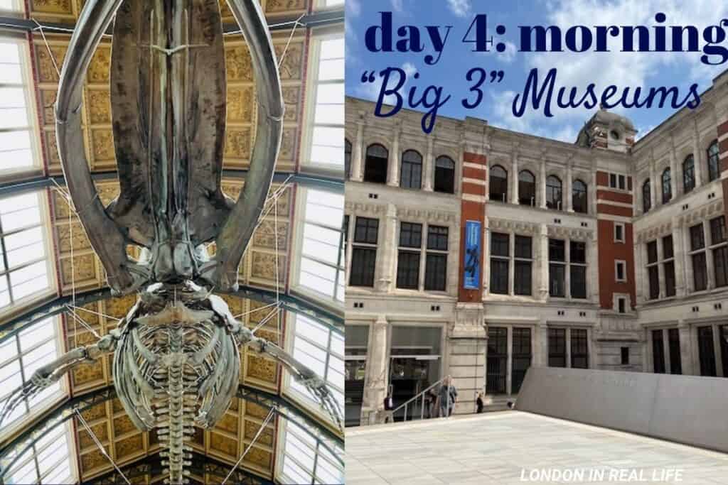 Morning of Day 4 exploring the 'Big 3' Museums: The left image showcases the awe-inspiring skeleton of a blue whale suspended from the ceiling in the Hintze Hall of the Natural History Museum. The right image features the stately facade of the Victoria and Albert Museum with visitors ascending the steps to the main entrance.